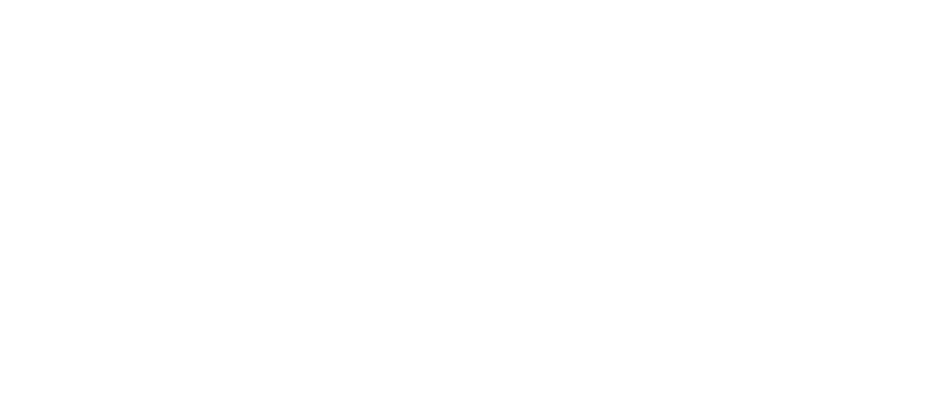 Digit-all-consulting-logo-blanc